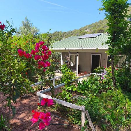 Gelidonia Fenerium Holiday Home Antalya Exterior photo