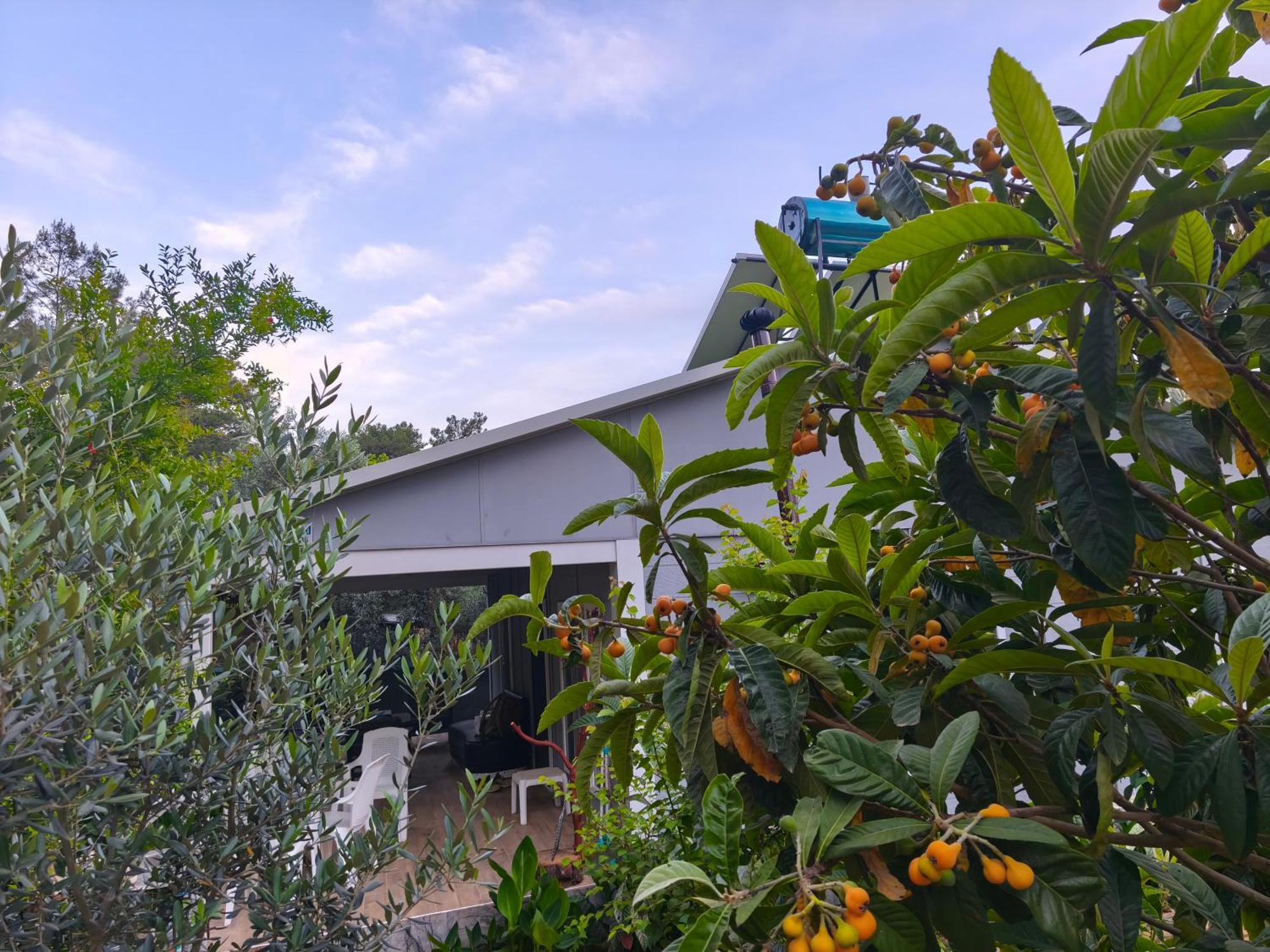 Gelidonia Fenerium Holiday Home Antalya Exterior photo